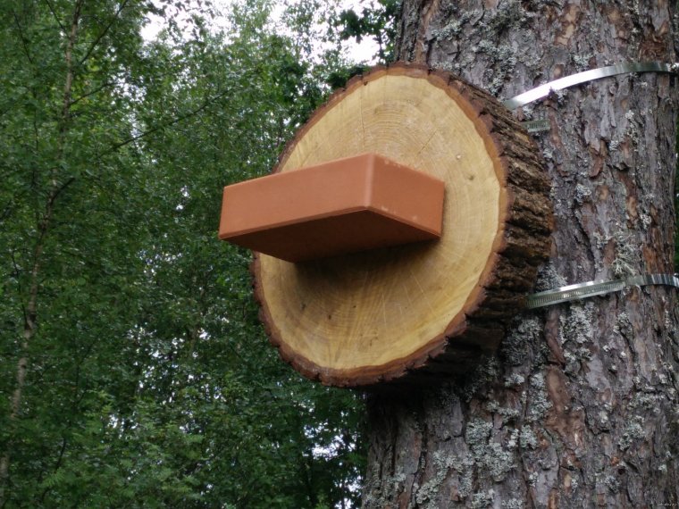 Задержка зарплаты