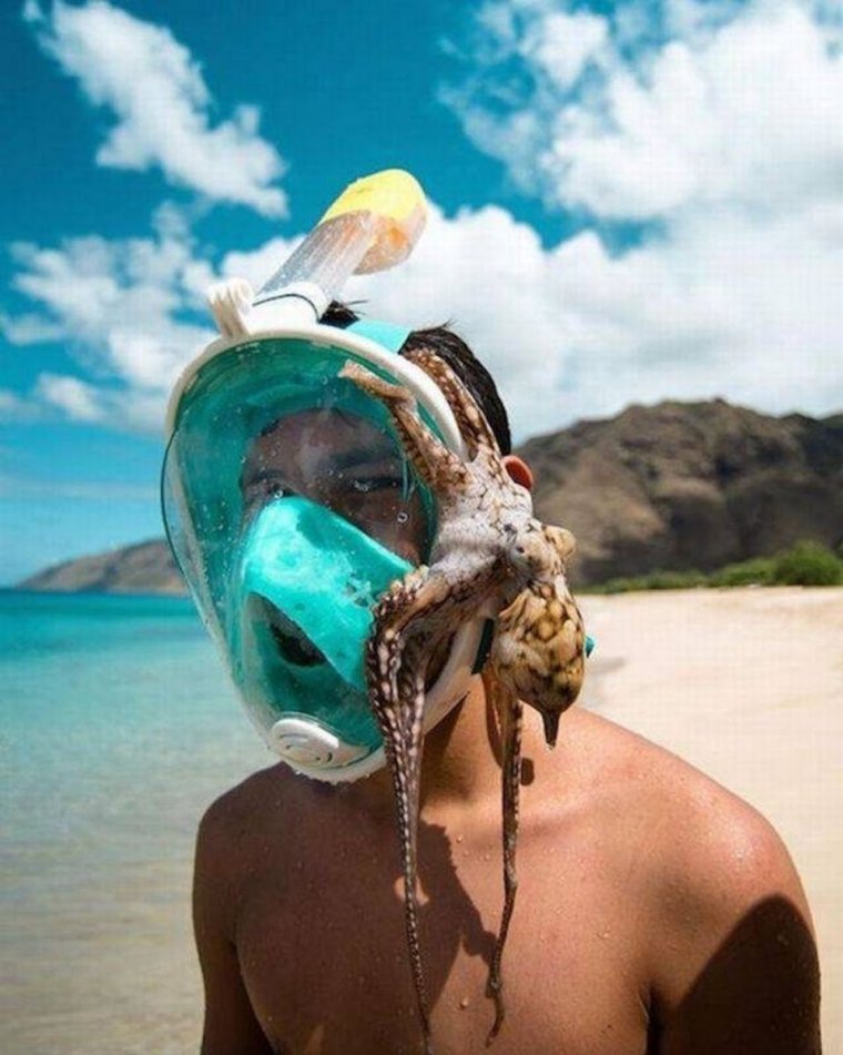 Смешные фотоподборки