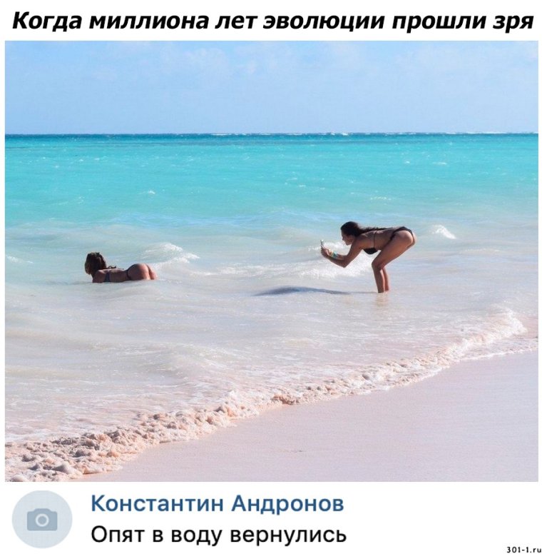 Миллионы лет эволюции Мем