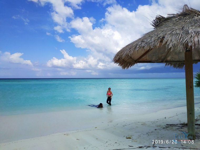 Тодди остров Мальдивы