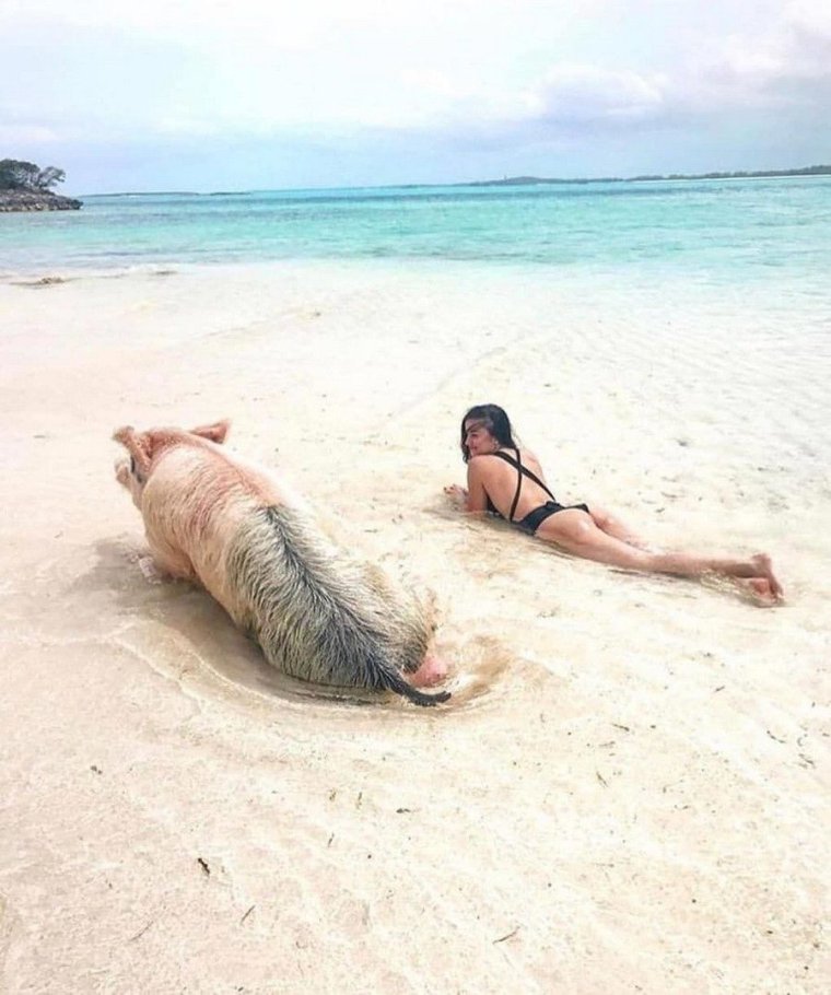 Смешные снимки на пляже