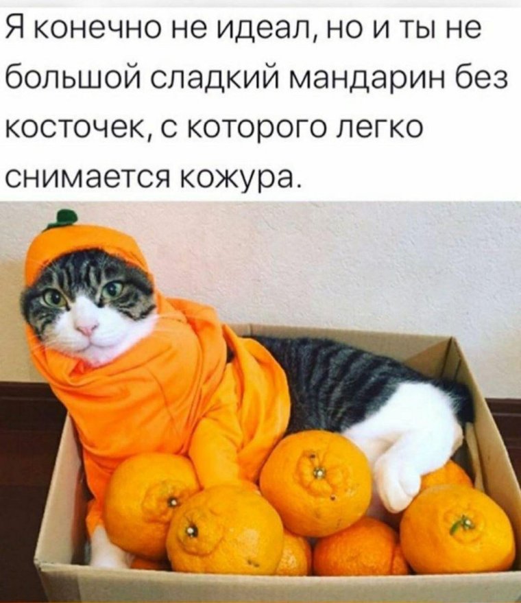 Мандарины прикол