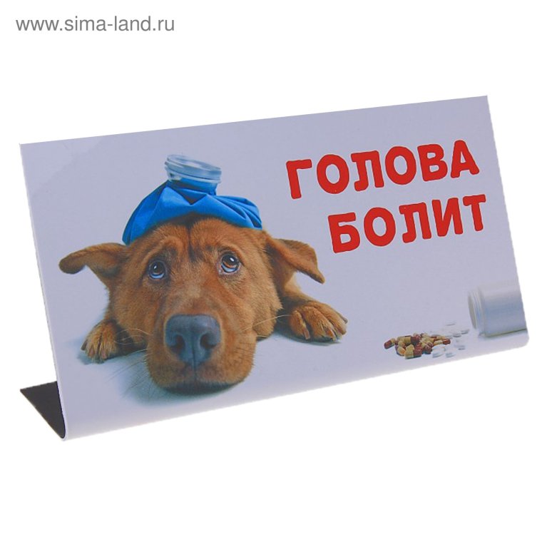 Голова болит прикольные картинки