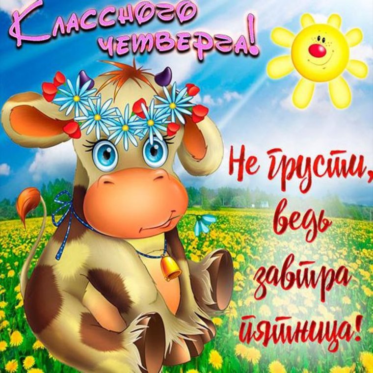 Смешные пожелания доброго дня