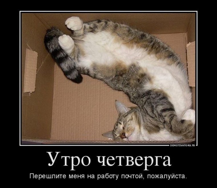 Доброе утро четверга