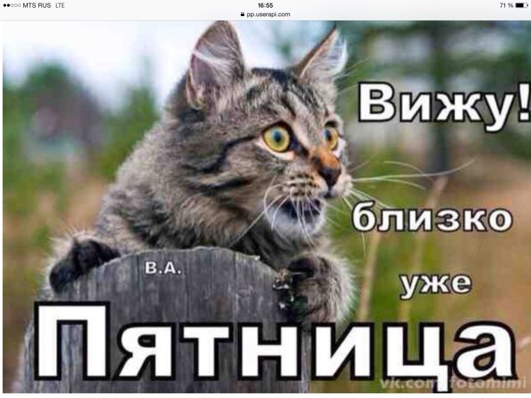 Скоро пятница прикольные