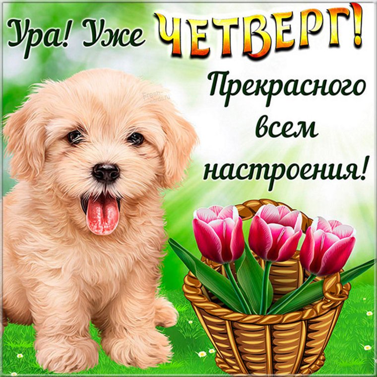 Открытки удачного четверга