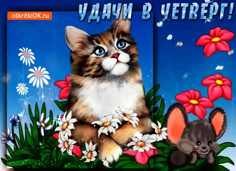 Счастливого четверга с девушками