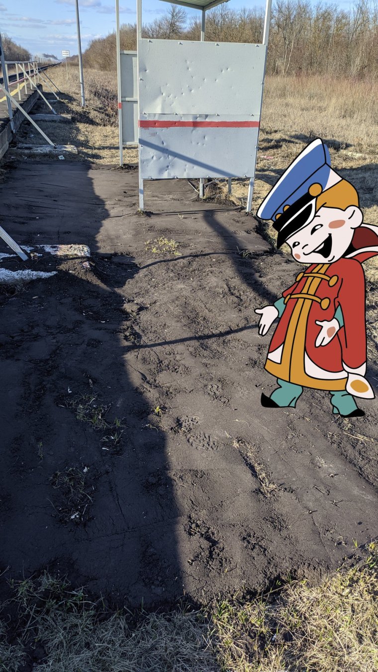 И так сойдет Мем