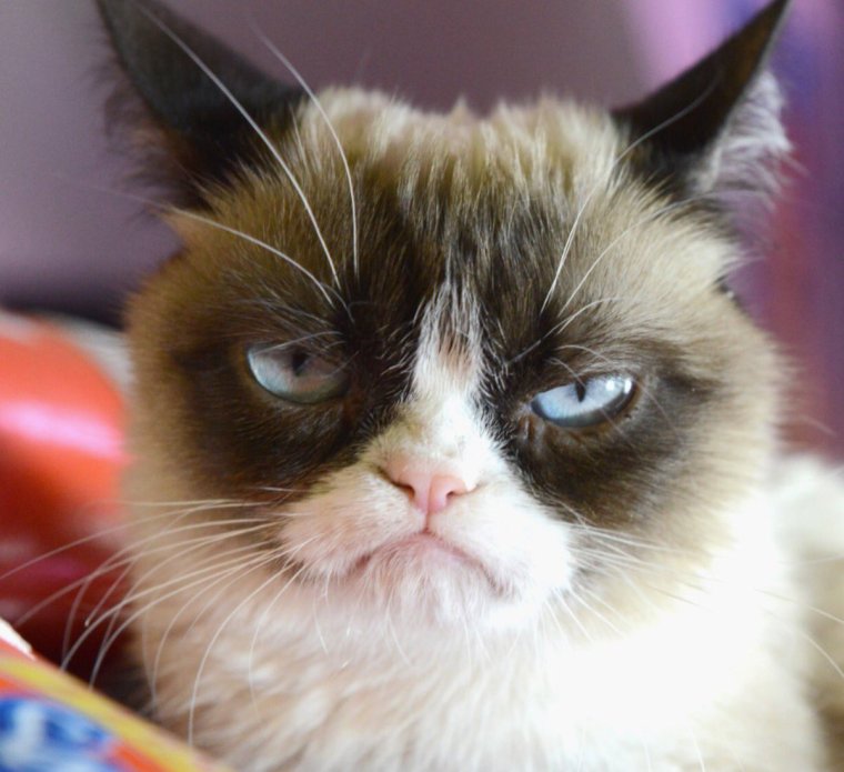 Грампи Кэт Мем