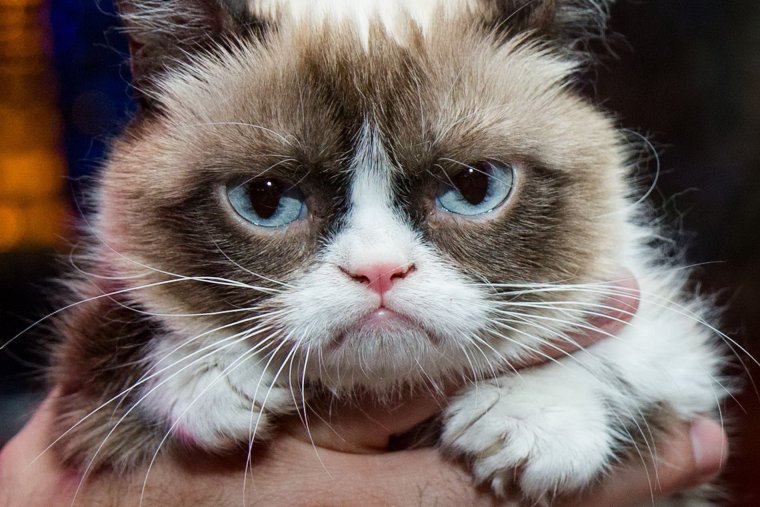 Недовольная мордашка