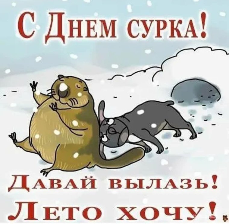 День сурка прикол