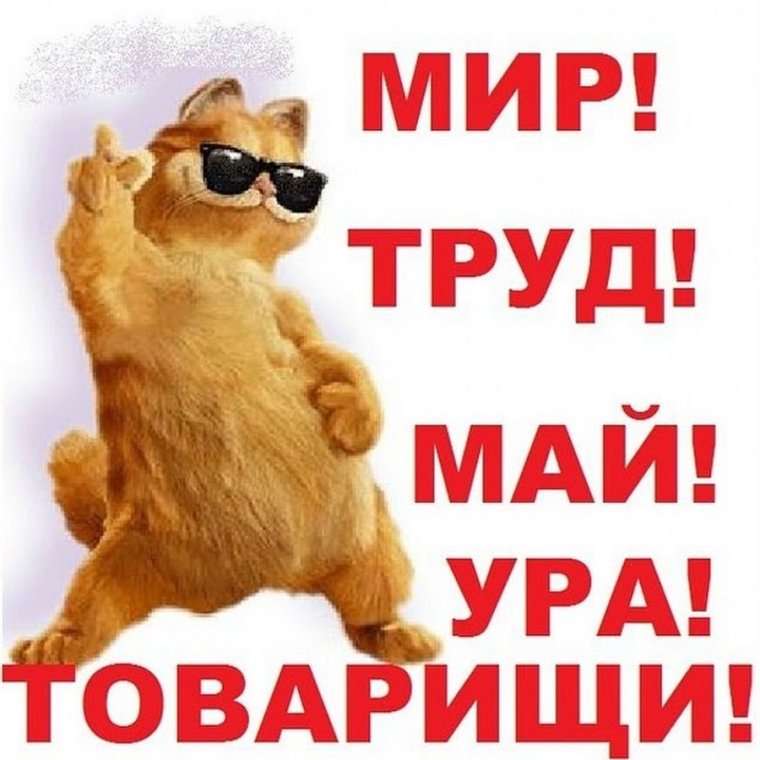 Мир труд май поздравления п