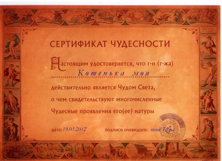 Сертификат настоящего мужчины