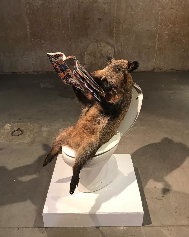 Маттео Гарроне таксидермист