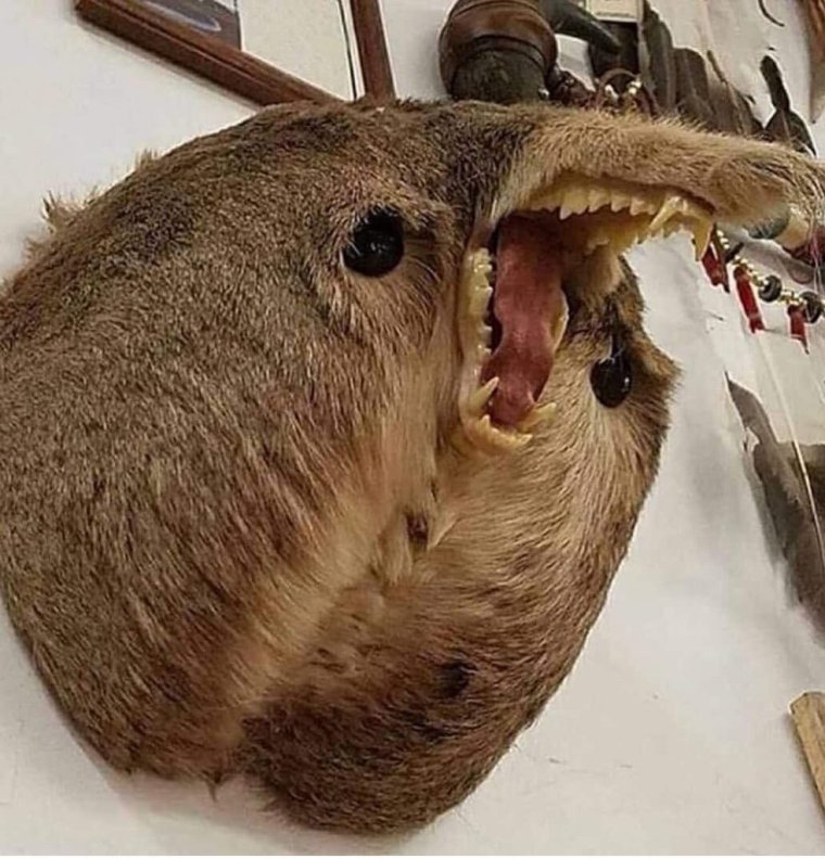 Смешные чучела животных