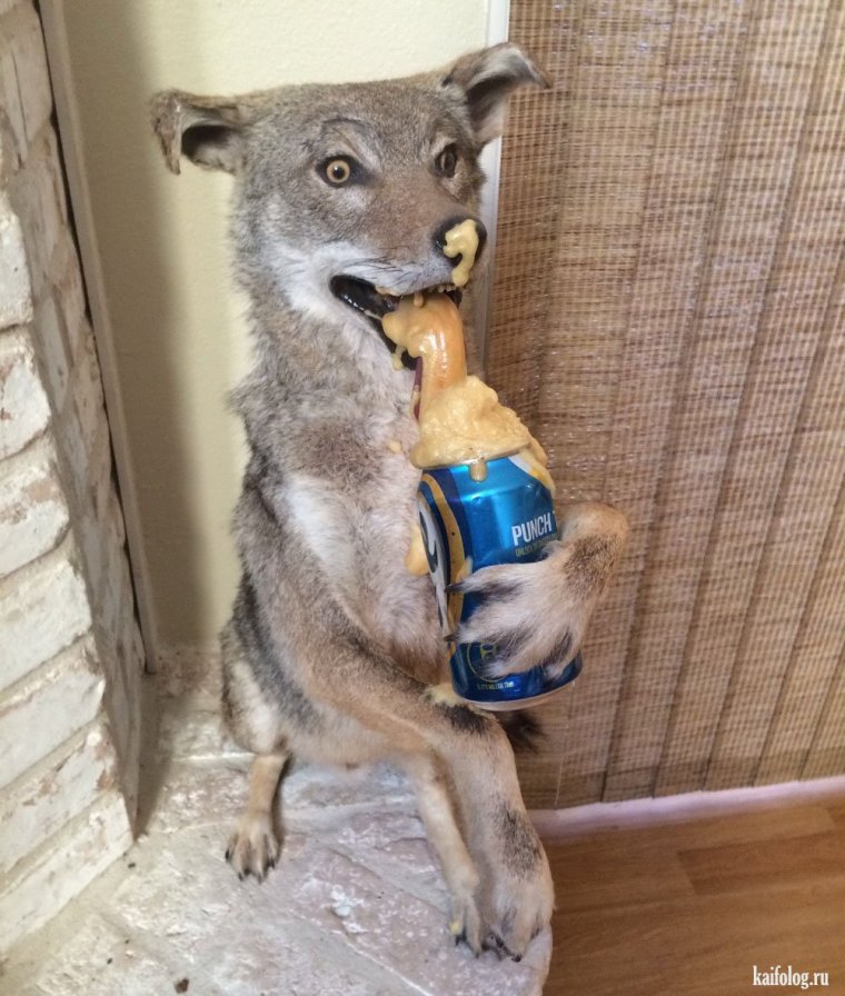 Забавные чучела животных