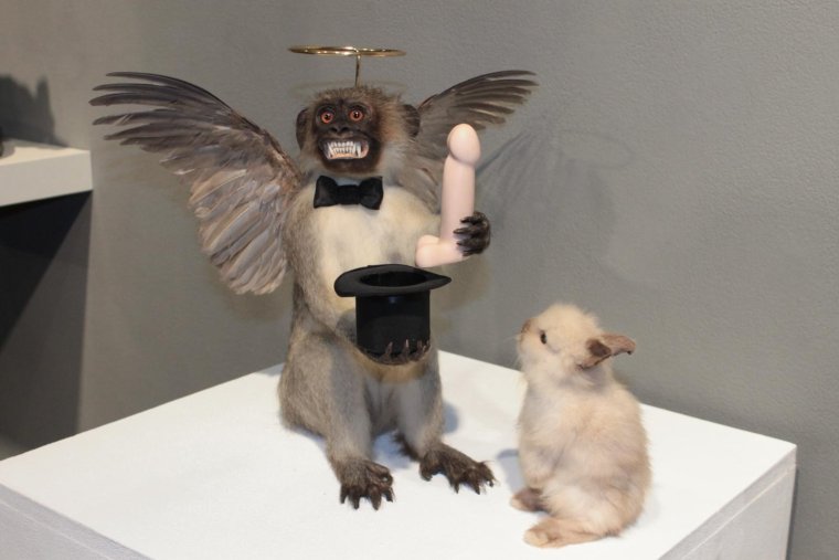 Смешные чучела животных