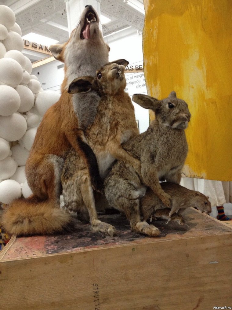 Смешные чучела животных
