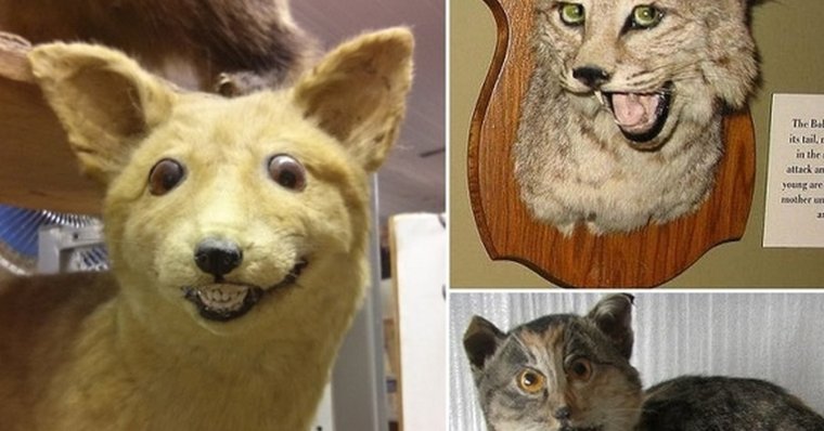 Ржачные чучела животных