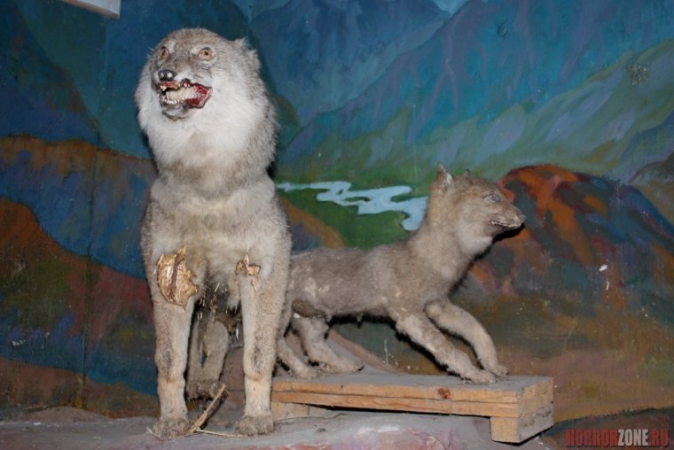 Чучело Льва шведского короля