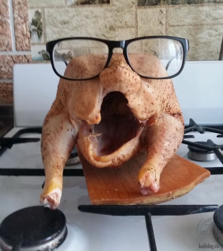 Курица смешная в очках