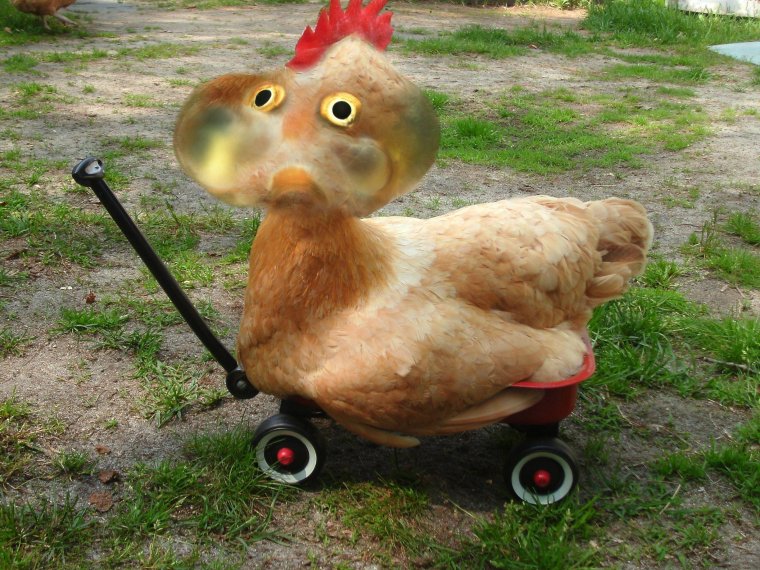 Толстый петух