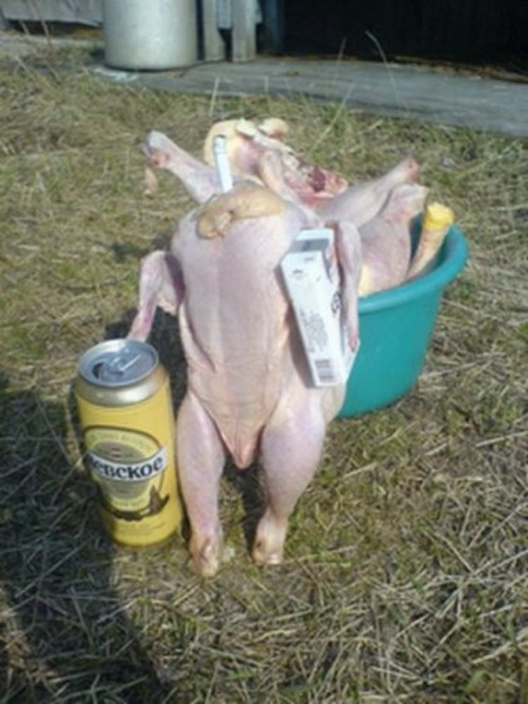 Приколы про кур