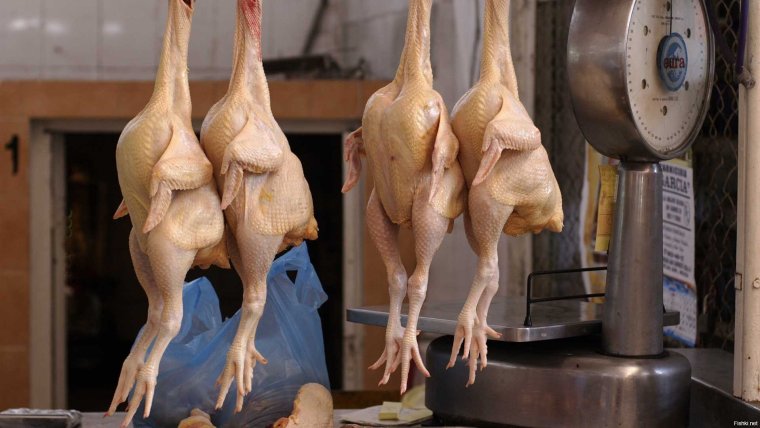 Петух прикол