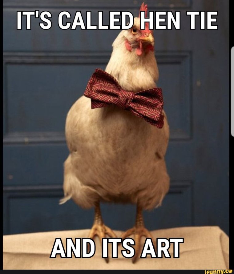 Смешные куры