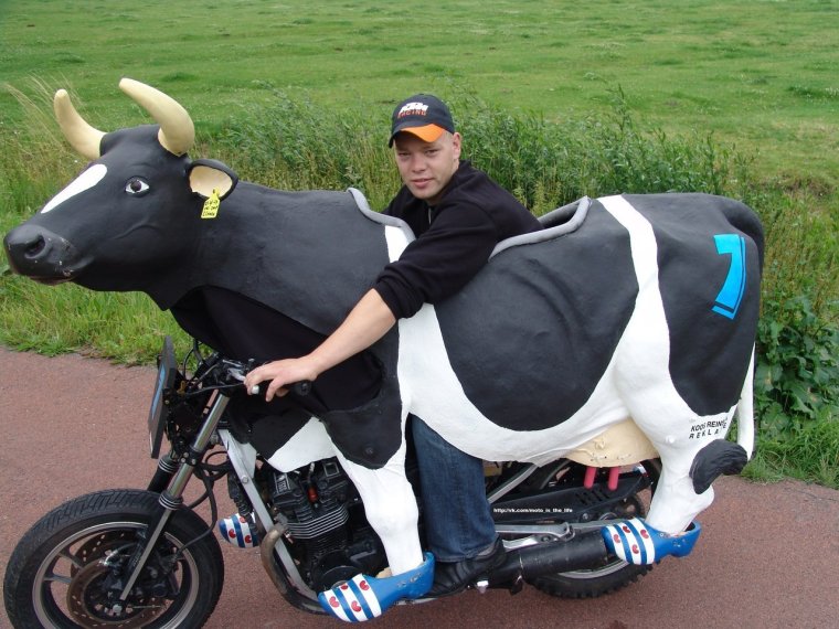 Бык на мотоцикле