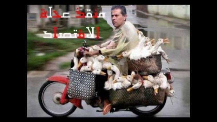 Бабушки на мопедах смешные