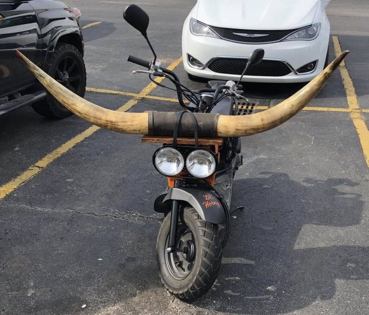 Человек мотоцикл прикол