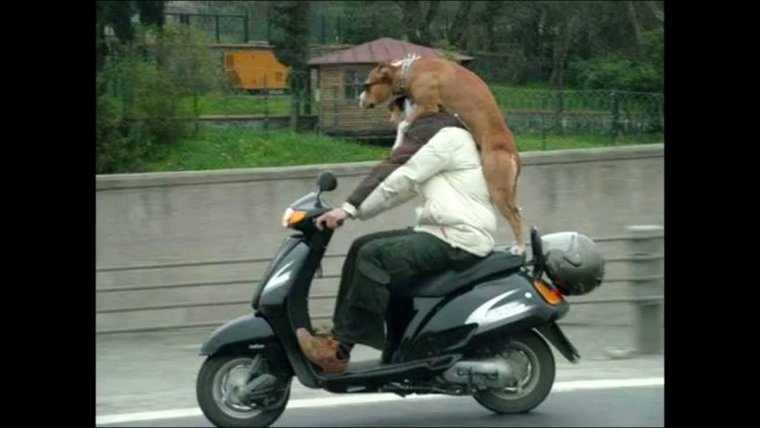 Нелепые мотоциклы