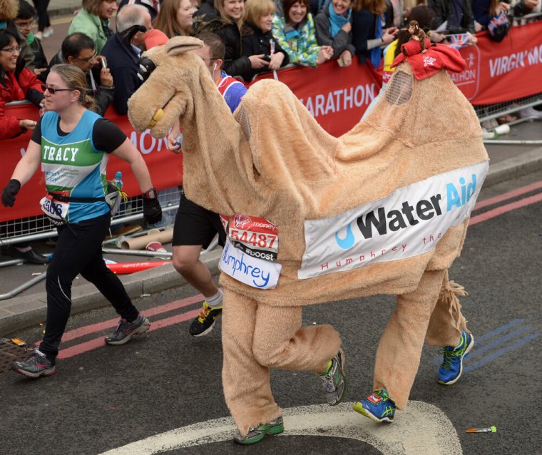 Смешные костюмы