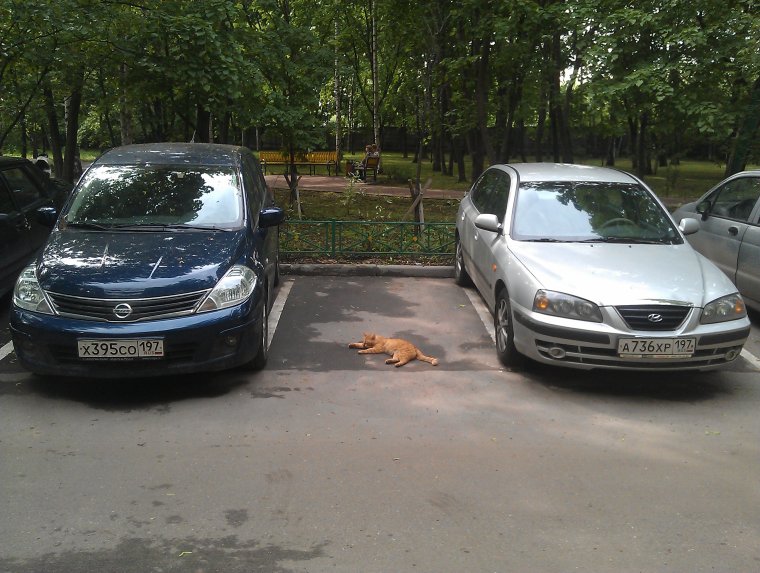 Занял место на парковке