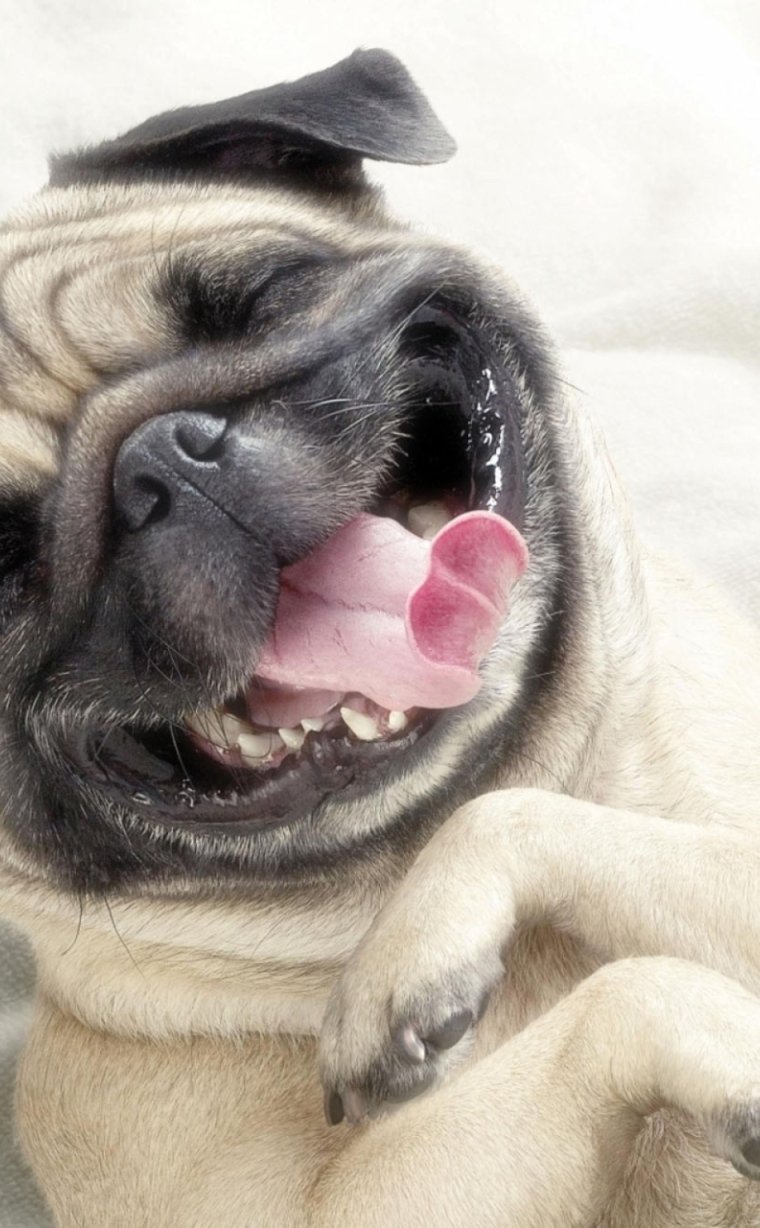 Ким Кардашьян без зубов