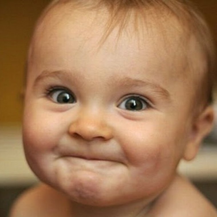 Довольный поросенок