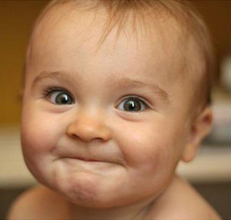 Улыбка животных коллаж