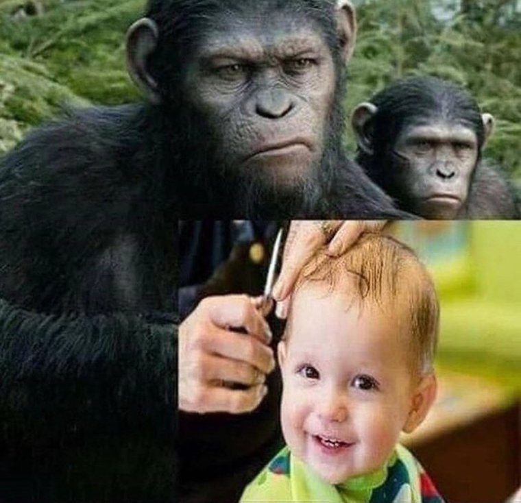 Обезьянка Мем