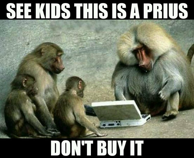 Обезьяны с надписями прикольными