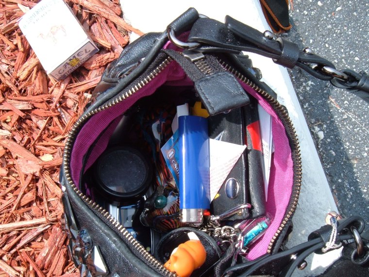 Шутки про женскую сумку