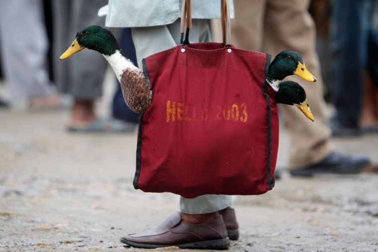 Сумка с птицами