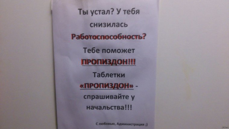 Таблетки от начальства