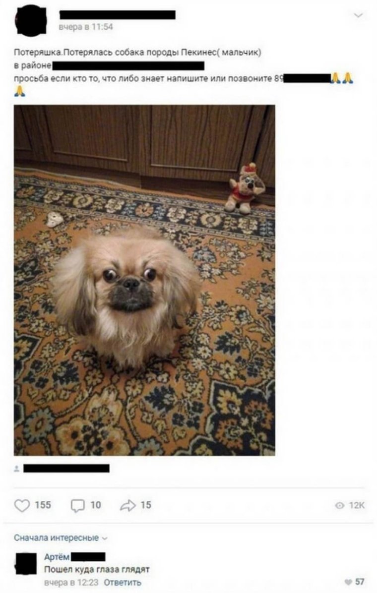 Шутка смешная ситуация