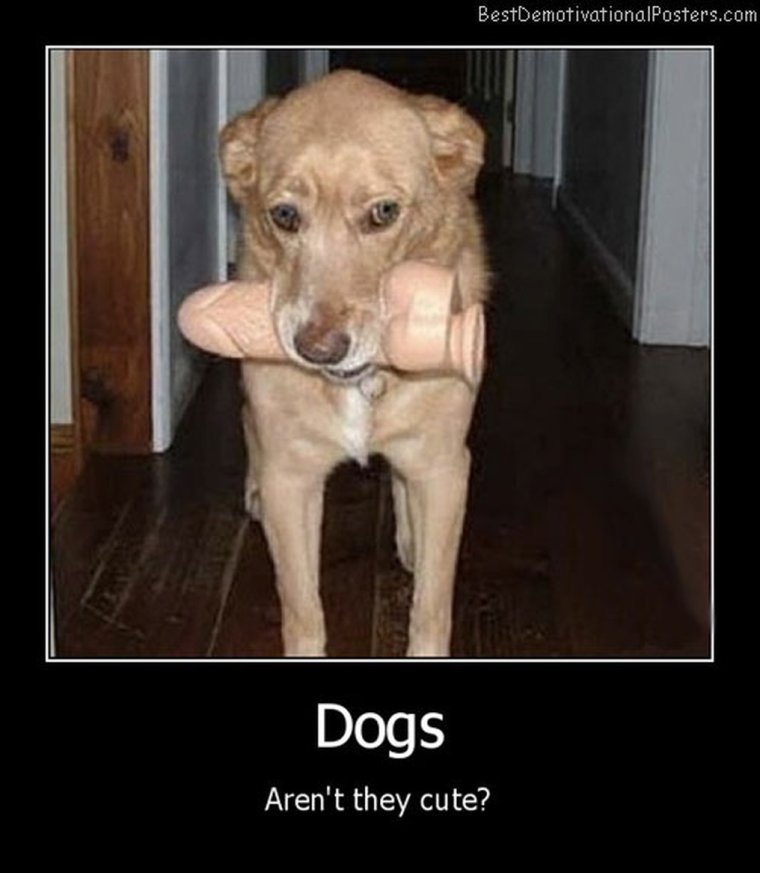 Объявление о пропаже