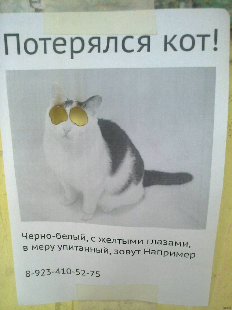 Смешные объявления о пропаже