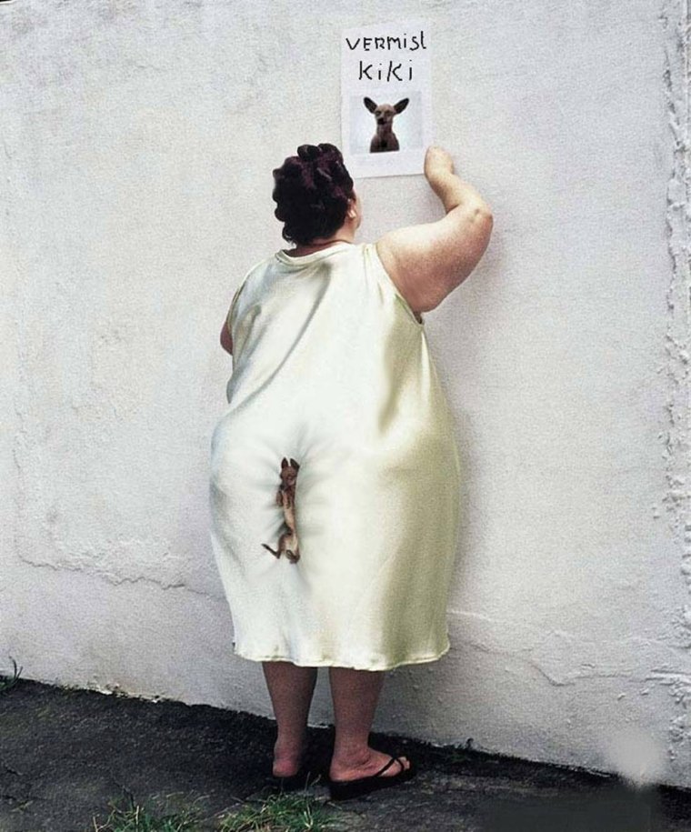 Потерялась собака прикол