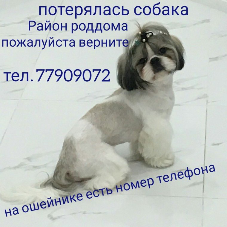 Смешные фото отправить