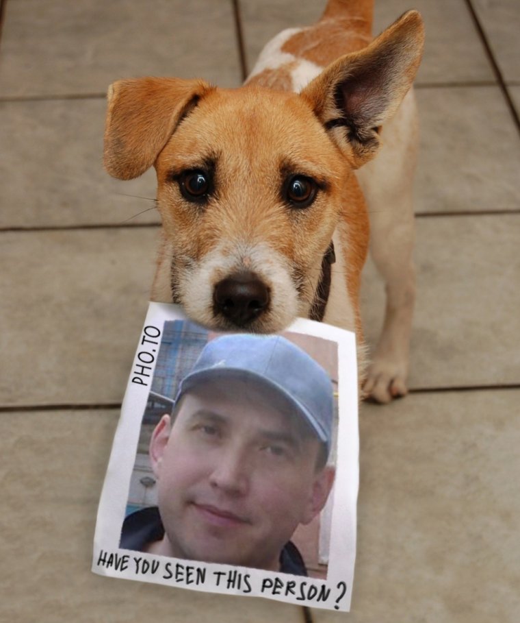 Смешные собаки с надписями